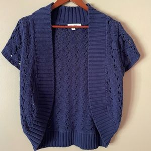 Calvin Klein Navy Knit Sweater